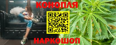 тгк Новозыбков