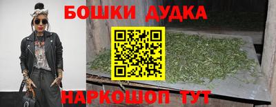 spice Моздок